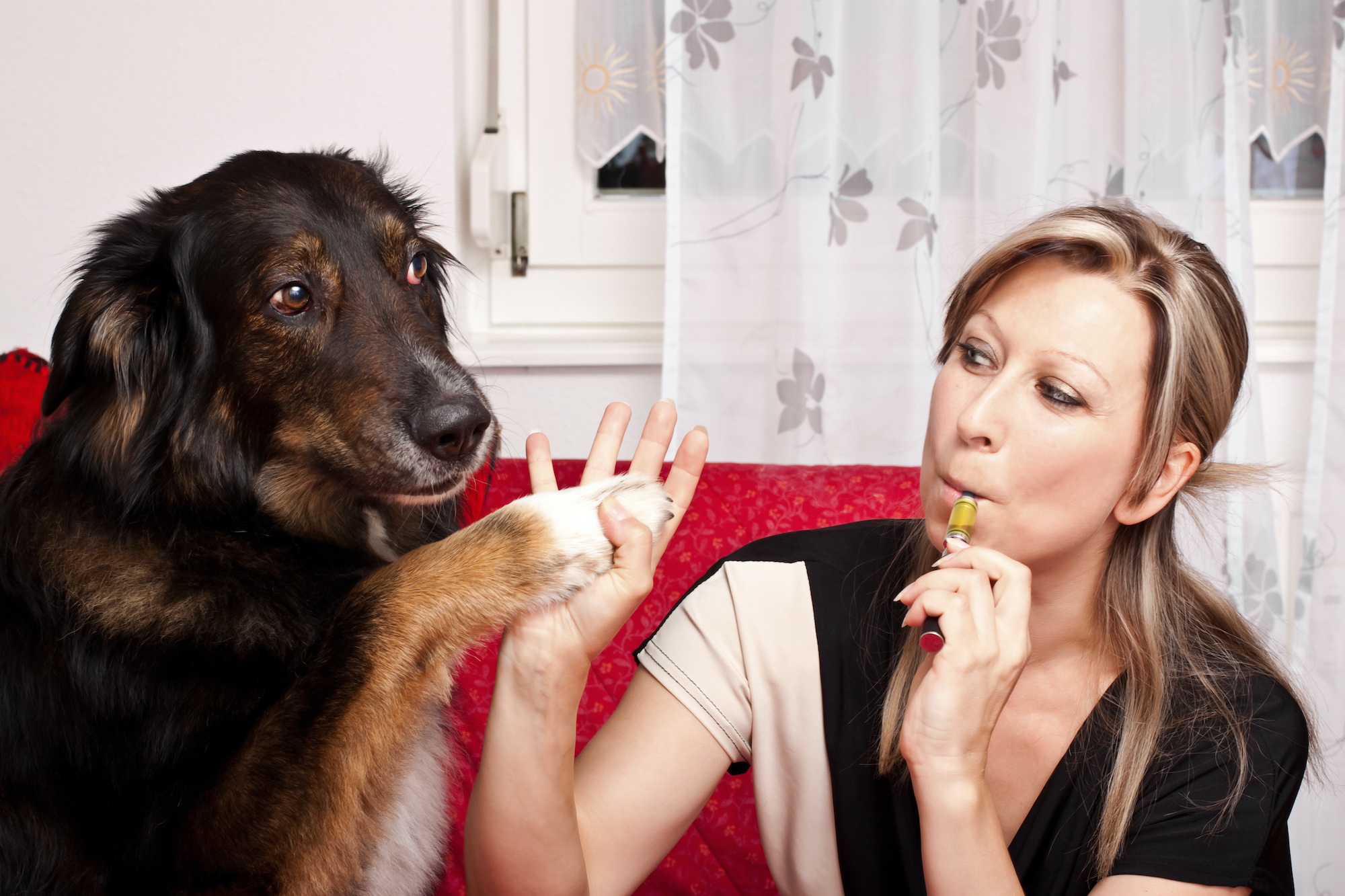 Quels sont les dangers de la cigarette électronique pour les animaux ?