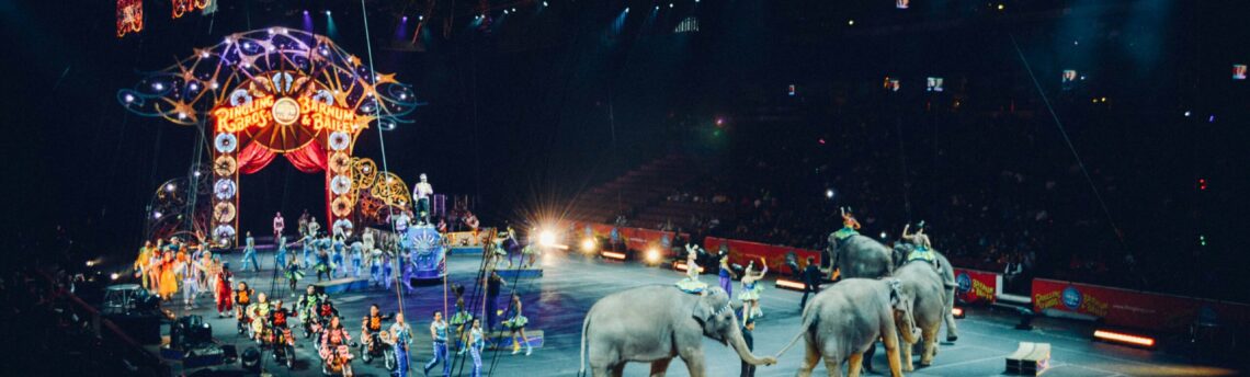 Les animaux sauvages sont-ils toujours autorisés dans les cirques ?